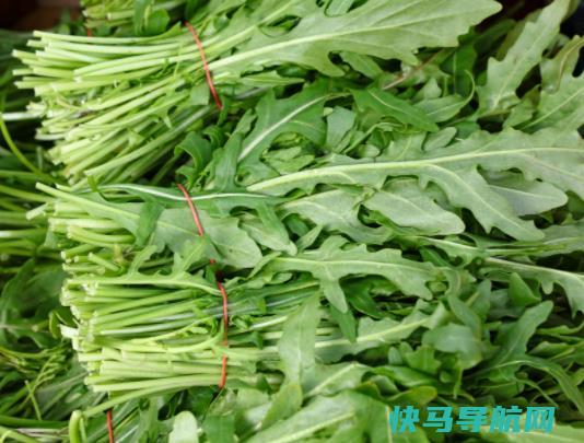 茼蒿可以凉拌吗？吃茼蒿拉肚子怎么回事？