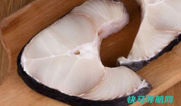 鲨鱼长样子的图片鲨有哪些功效与作用